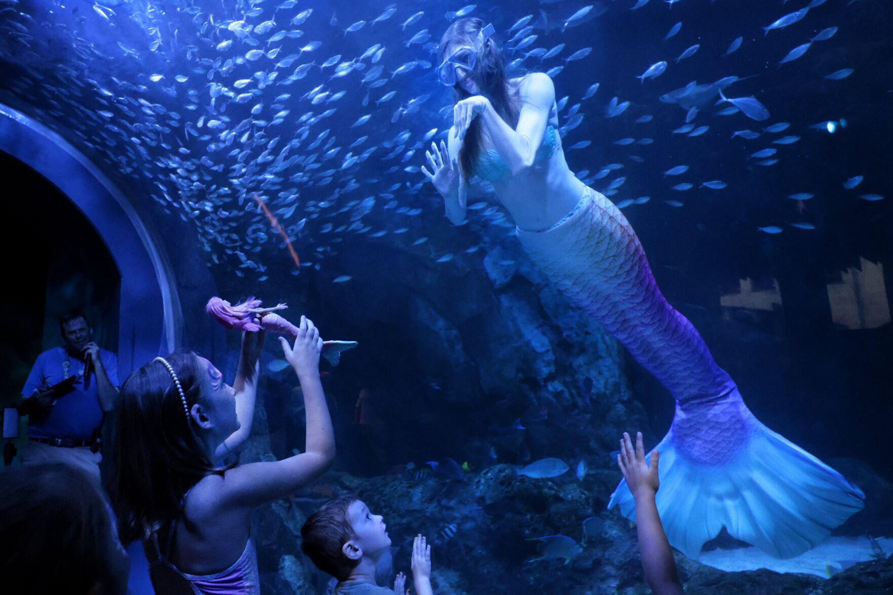 Mermaids on the Mississippi make a Splash at the 最新杏吧原创 Aquarium